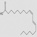 CLA (ácido linoleico conjugado)