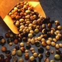 Cápsulas o perlas de lecitina de soja