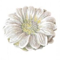 Nacarante Blanco Reflejo Dorado 50 Ml.