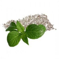 Salvia, Hojas Eco