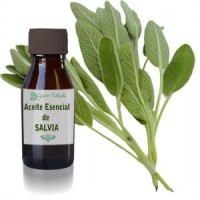 Salvia Aceite Esencial 30 Ml.