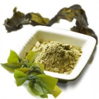 Arcialga (arcilla Con Algas Marinas) 100 Gr.