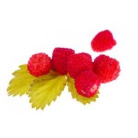 Esencia Arom&aacute;tica De Frutos Rojos.
