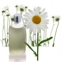 Esencia Aromática De Margarita.