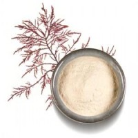 Agar Agar, Espesante Natural En Polvo 50 Gr.