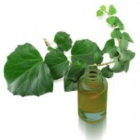Extracto De Hiedra 100 Ml.