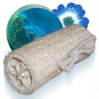 Lufa, Luffa, Esponja Vegetal.