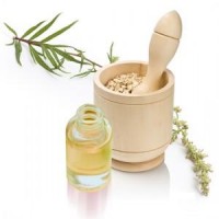 Extracto De Artemisa Vulgaris, 50ml