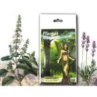 Mandragora (proteccion)