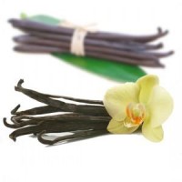 Esencia Arom&aacute;tica De Vainilla Para Mikados, 250 Ml.
